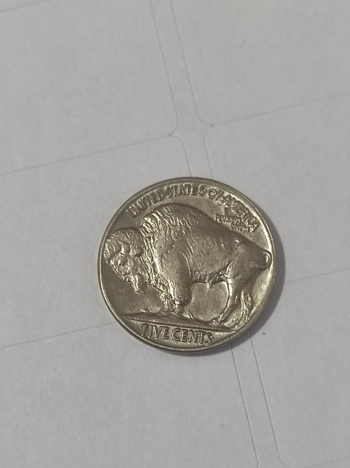 Parlak Kahverengi Vintage Erkek Rozeti Çil 1935 bufolo - Görsel 2