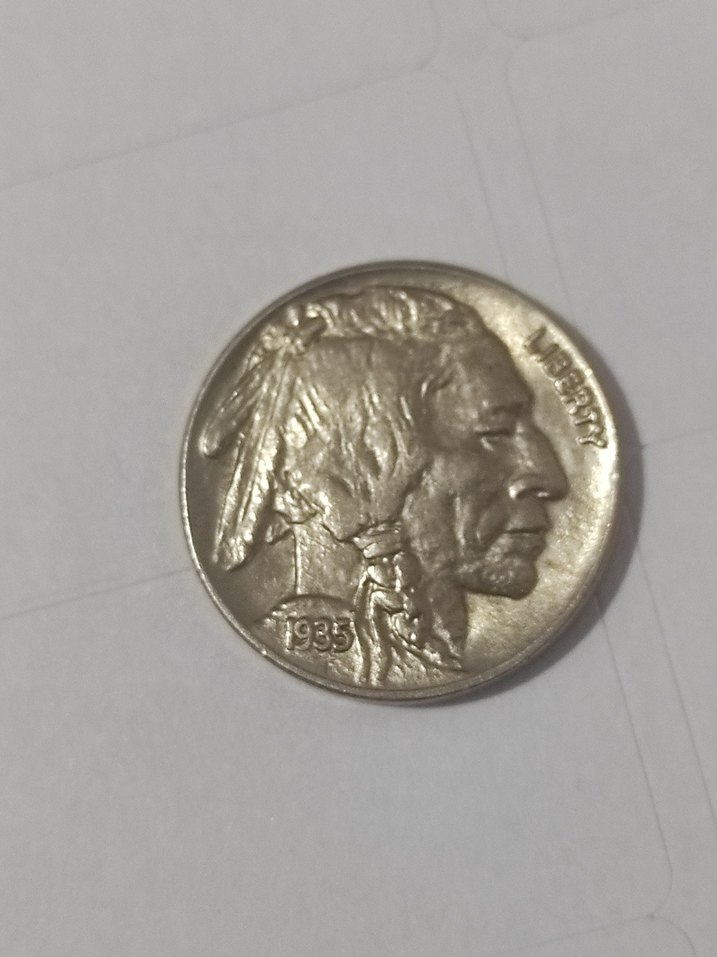 Parlak Kahverengi Vintage Erkek Rozeti Çil 1935 bufolo - Görsel 3