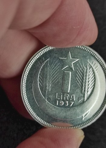 1937 Gri Vintage Erkek Rozet. Cil setten cikma - Görsel 7