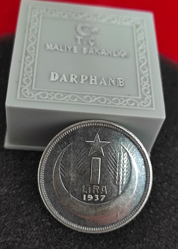 1937 Gri Vintage Erkek Rozet. Cil setten cikma - Görsel 4