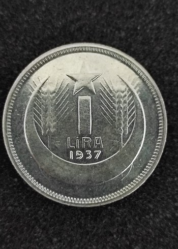 1937 Gri Vintage Erkek Rozet. Cil setten cikma - Görsel 13