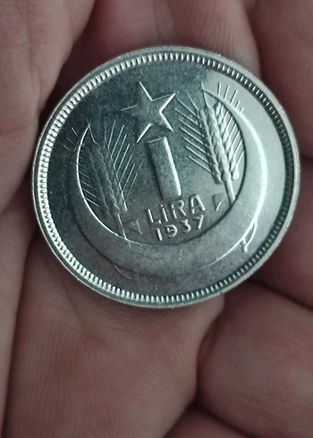 1937 Gri Vintage Erkek Rozet. Cil setten cikma - Görsel 8