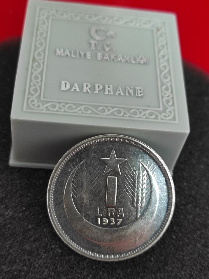 1937 Gri Vintage Erkek Rozet. Cil setten cikma - Görsel 4