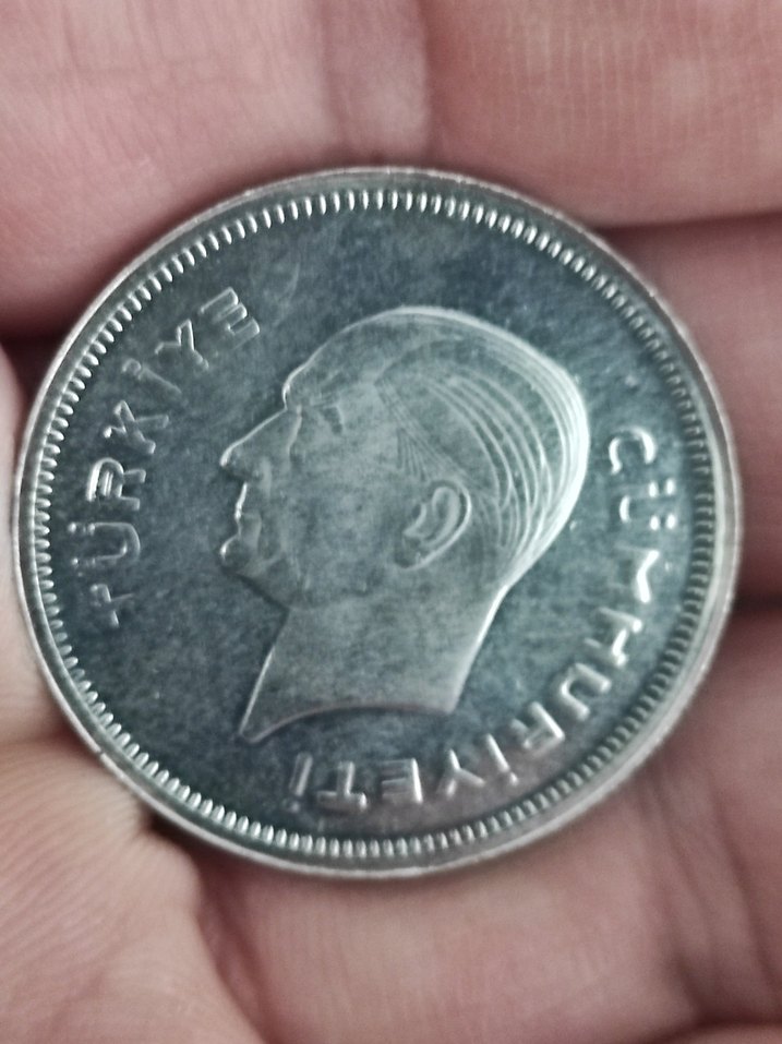 1937 Gri Vintage Erkek Rozet. Cil setten cikma - Görsel 2