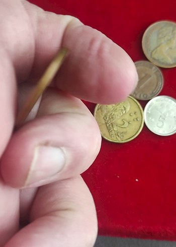 Vintage Altın Tonlu Erkek Rozetleri - Görsel 8