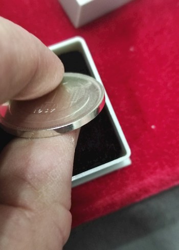 Gri Vintage Erkek Rozeti 1937 ATA 1 lir cil - Görsel 9