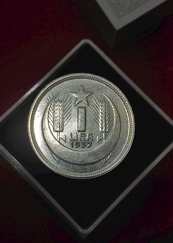 Gri Vintage Erkek Rozeti 1937 ATA 1 lir cil - Görsel 6