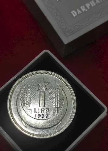 Gri Vintage Erkek Rozeti 1937 ATA 1 lir cil - Görsel 7