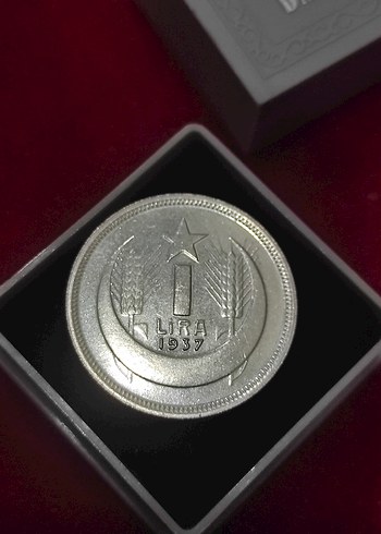 Gri Vintage Erkek Rozeti 1937 ATA 1 lir cil - Görsel 2