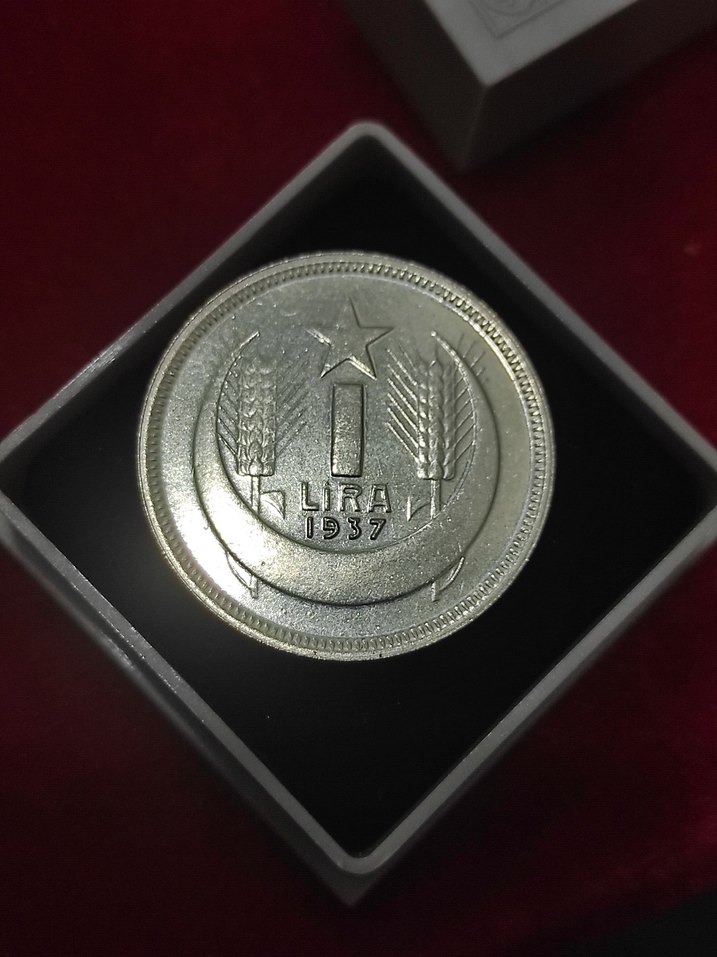 Gri Vintage Erkek Rozeti 1937 ATA 1 lir cil - Görsel 4