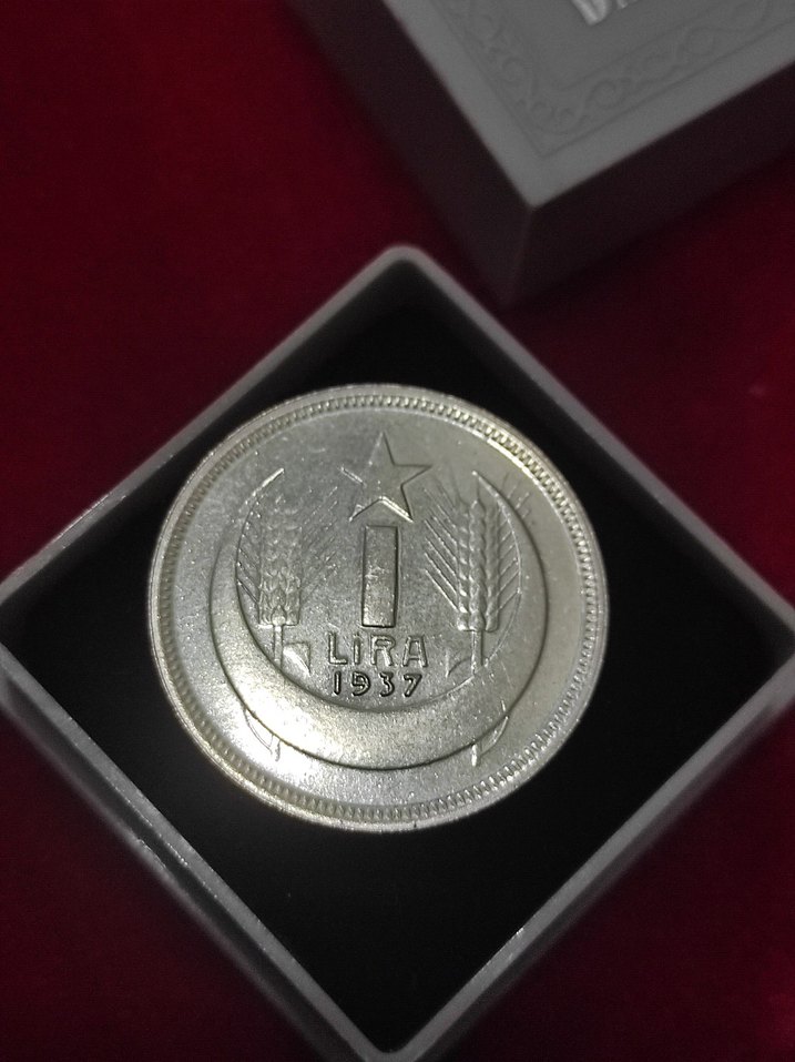 Gri Vintage Erkek Rozeti 1937 ATA 1 lir cil - Görsel 2