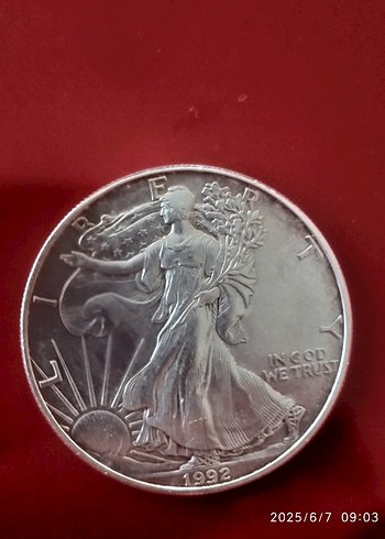 Amerikan 1 DOLLAR