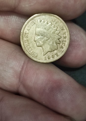 1907 Amerika Altin Renkli Native Coin