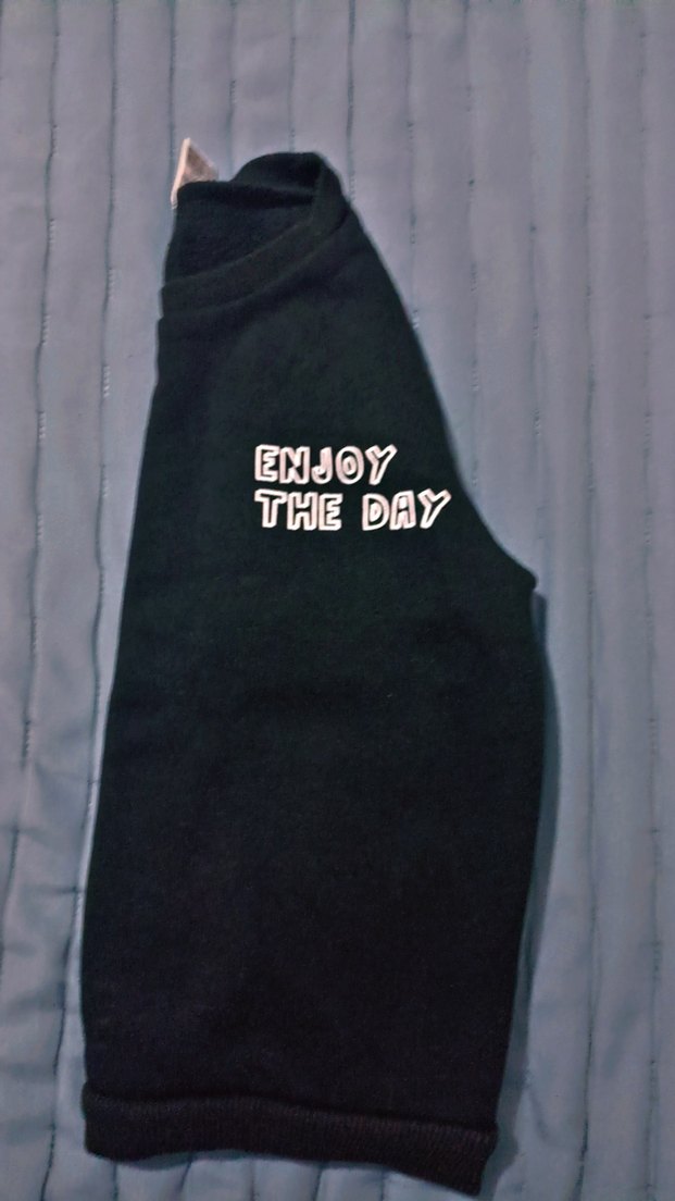 Erkek Çocuk Sweatshirt - Görsel 5