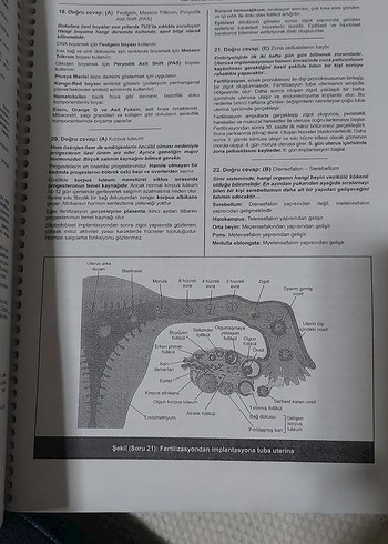 Beden Renk PRETUS-9 Açıklamalı TUS Deneme Sınavı Kitabı