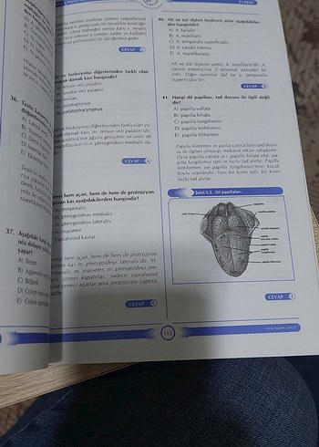 TUSEM Anatomi Çalışma Soruları Kitabı