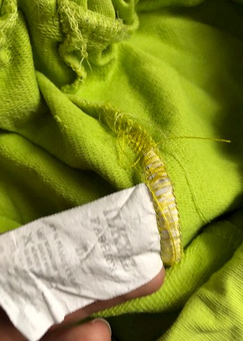 Elastik Bel Yeşil Mini  Şort - Görsel 2