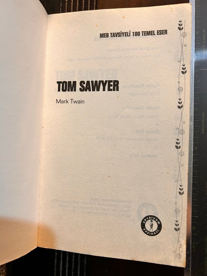 Tom Sawyer - Mark Twain - Görsel 4