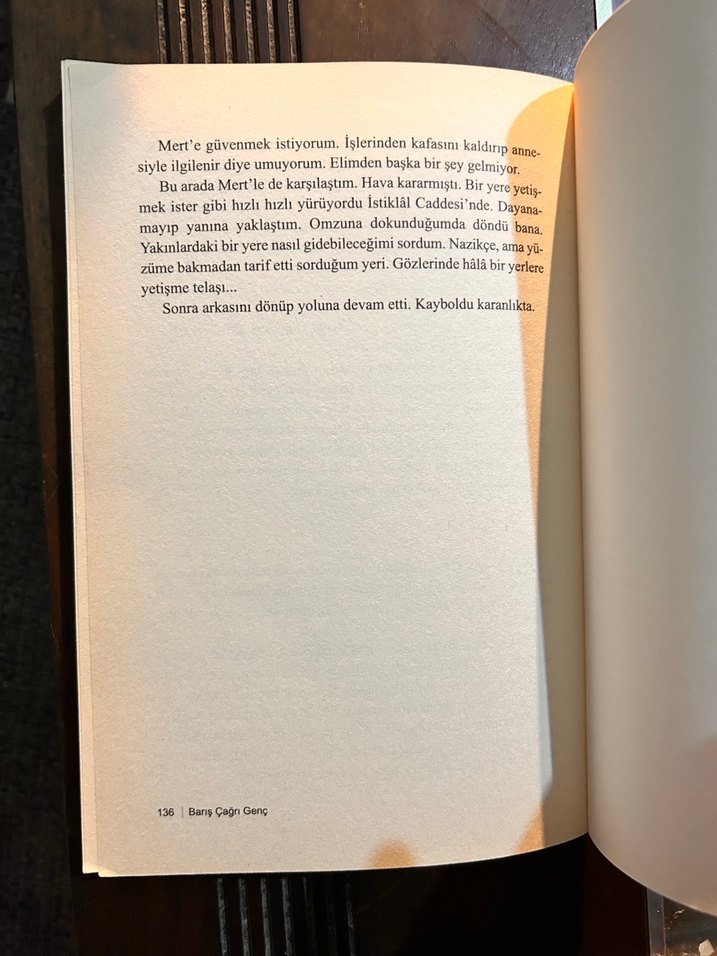 Barış Çağrı Genç - İçindeyim Roman - Görsel 3