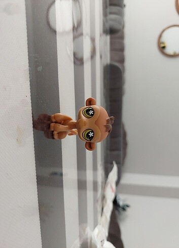 LPS miniş 