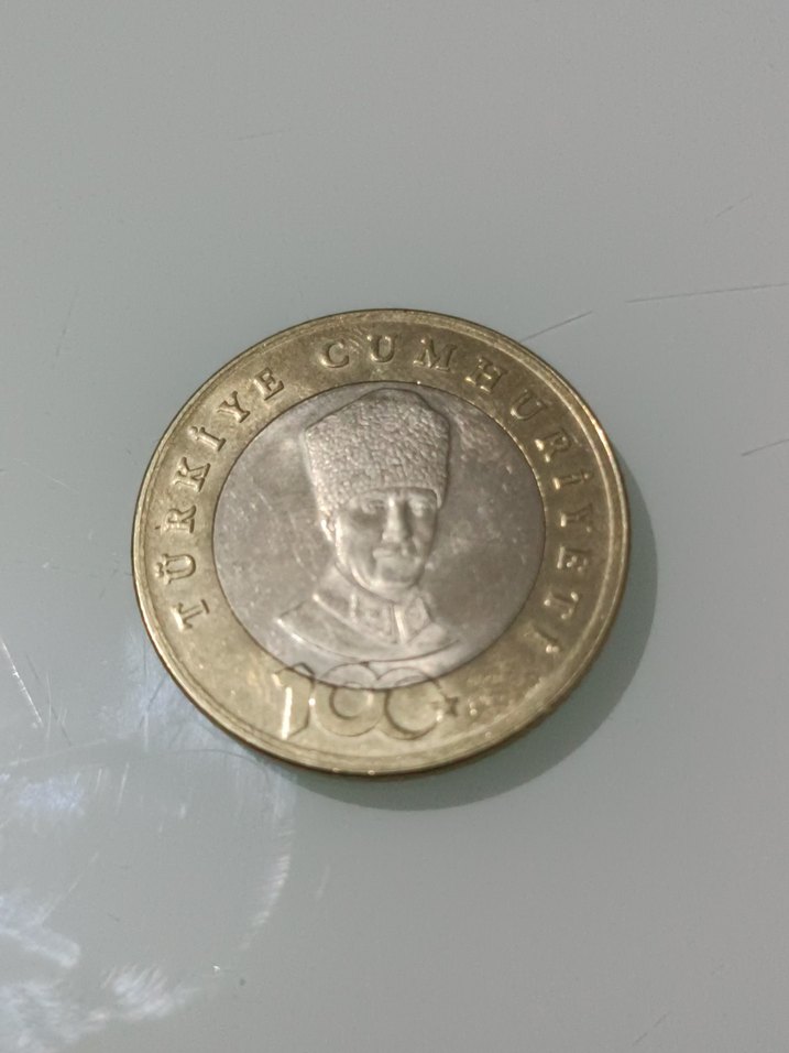 Altın Renkli 100. Yıl 5 TL Koleksiyon parası - Görsel 2