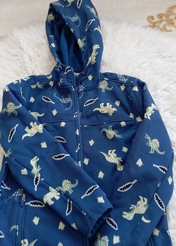 Kapüşonlu Erkek Çocuk Dinozor Desenli Yağmurluk - Görsel 4