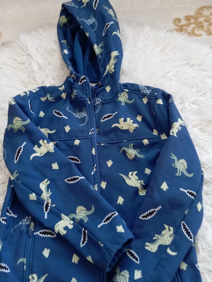 Kapüşonlu Erkek Çocuk Dinozor Desenli Yağmurluk - Görsel 4