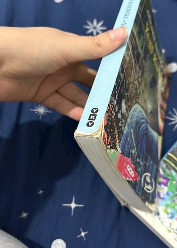 Gülten Dayıoğlu 2'li Roman Seti