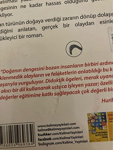  Beden Pembe flamingoların beyaz grevi