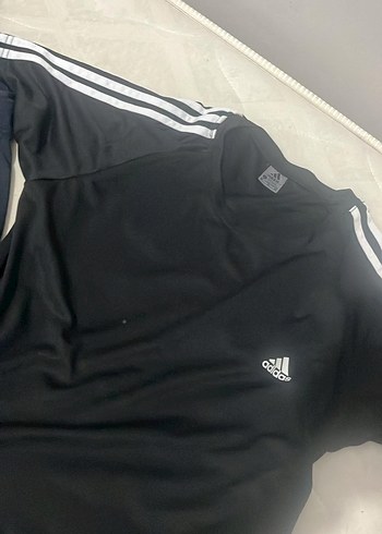Erkek Siyah Adidas kısa kollu Fitted Forma