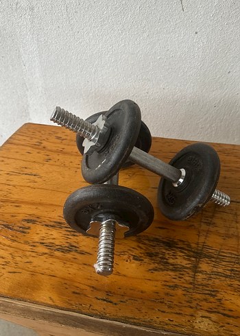 Siyah Dambıl Çifti döküm - Görsel 2