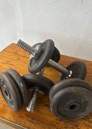 Siyah Dambıl Çifti döküm - Görsel 3