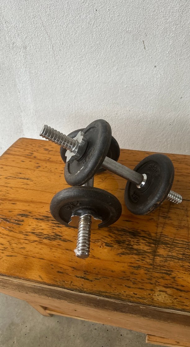 Siyah Dambıl Çifti döküm - Görsel 2