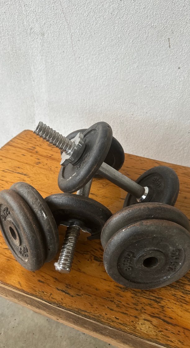 Siyah Dambıl Çifti döküm - Görsel 3