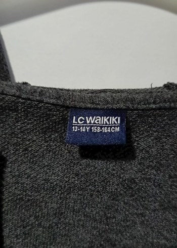 Gri Kapüşonlu Fermuarlı Erkek Çocuk Hırka - Görsel 3