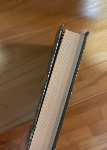 Mürekkebe Boyanan Sandunya II - Sümeyye Demirkan - Görsel 3