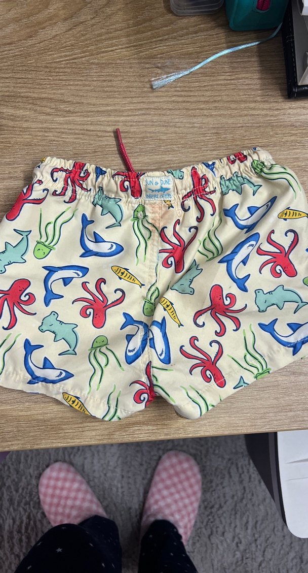 Erkek Çocuk Mayo Şort - Görsel 2