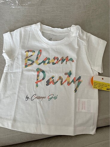 Diğer 2 li takım tshirt +eşofman