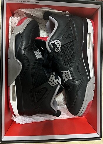 Jordan 4s