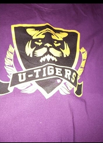 Diğer Tigers