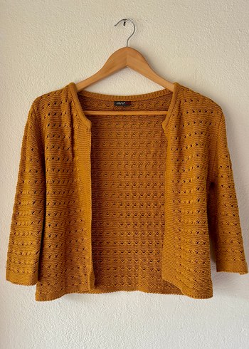 Dilvin Hardal Hırka - Görsel 2