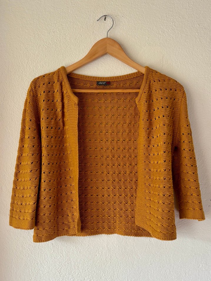 Dilvin Hardal Hırka - Görsel 2