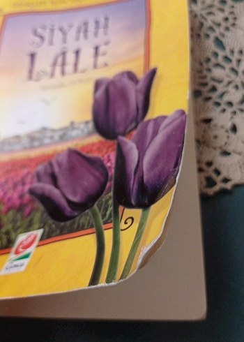 Siyah Lâle - Alexandre Dumas - Görsel 2