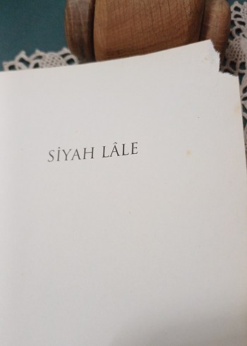 Siyah Lâle - Alexandre Dumas - Görsel 3