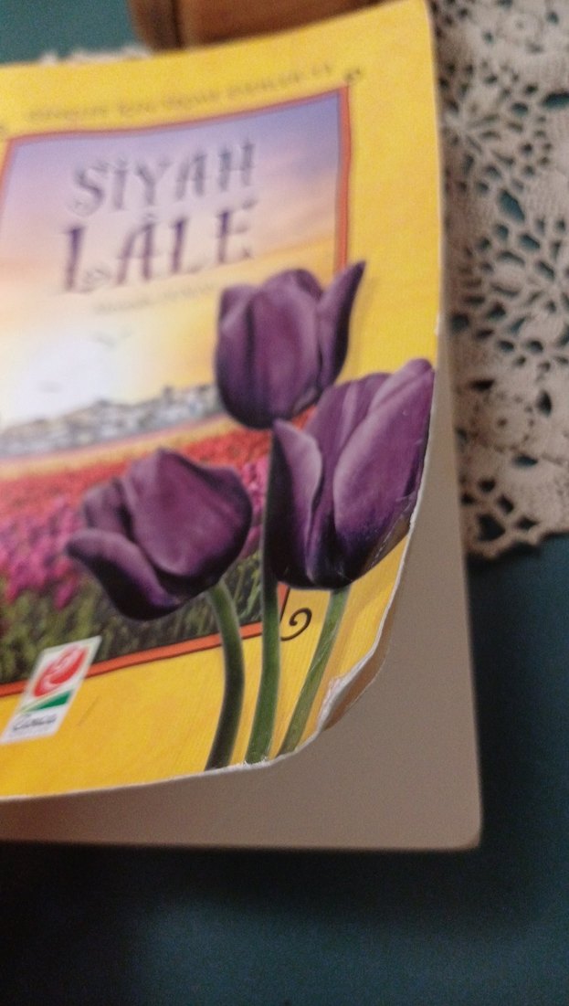 Siyah Lâle - Alexandre Dumas - Görsel 2