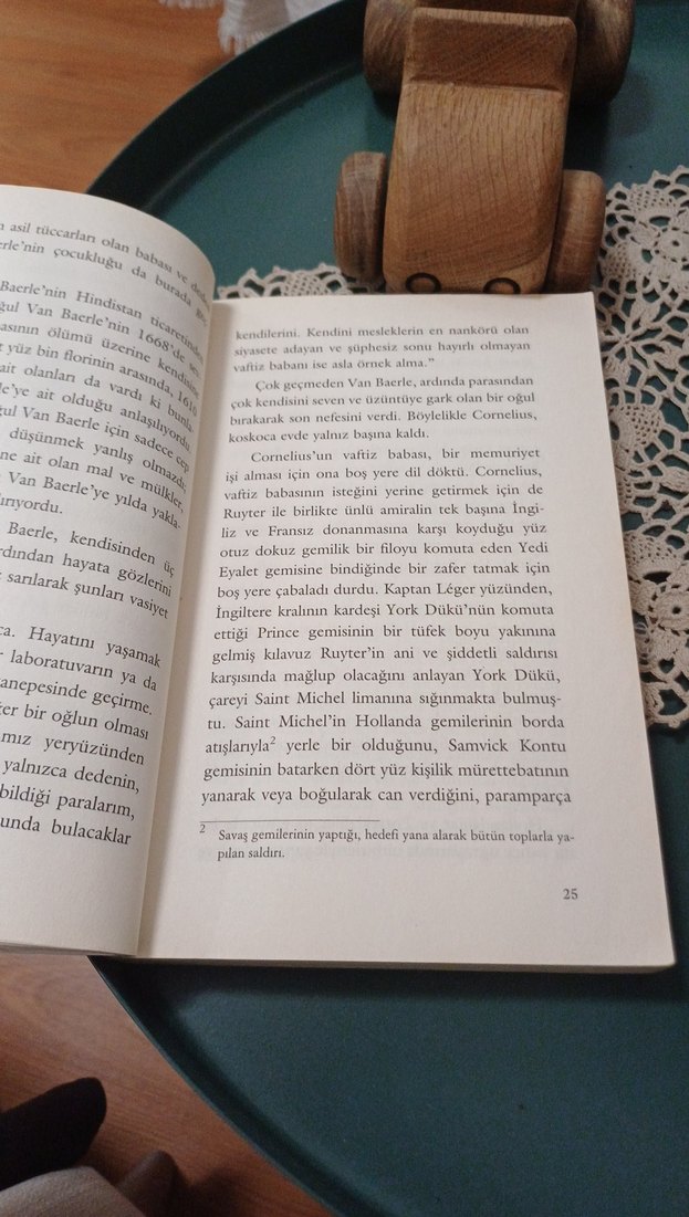 Siyah Lâle - Alexandre Dumas - Görsel 4