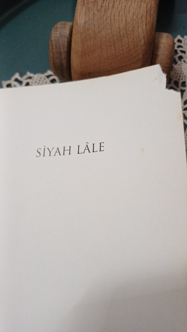 Siyah Lâle - Alexandre Dumas - Görsel 3