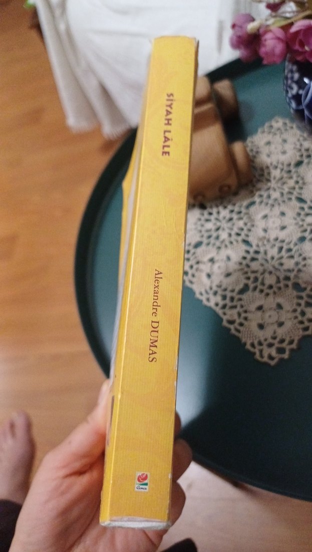 Siyah Lâle - Alexandre Dumas - Görsel 5