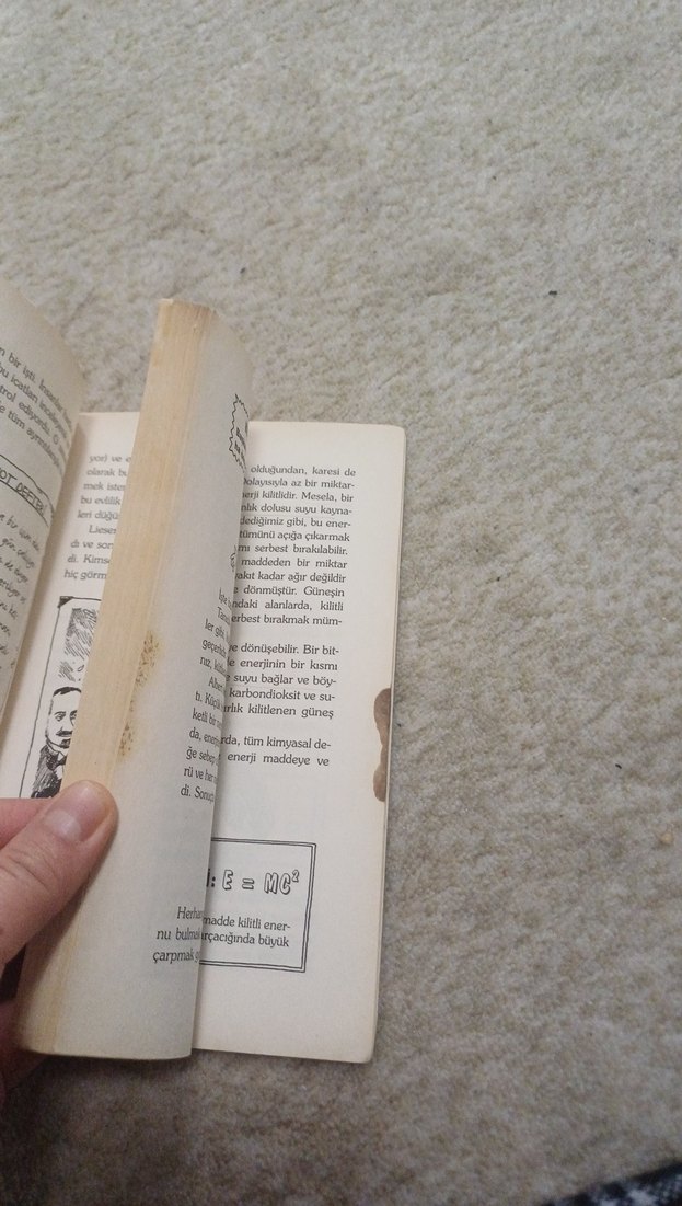 Einstein Çılgın Teorisien - Mike Goldsmith - Görsel 3