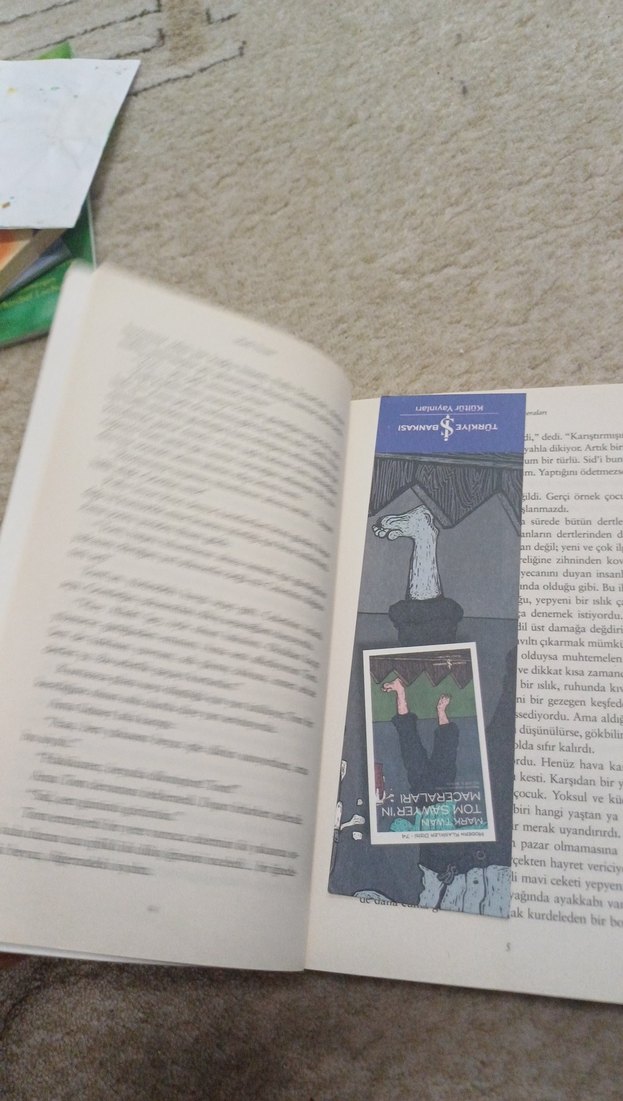 Mark Twain - Tom Sawyer'ın Maceraları - Görsel 5